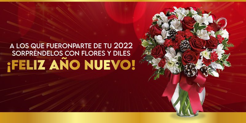 Envio de Flores a Domicilio en Ciudad Real - FloresaEspana.com