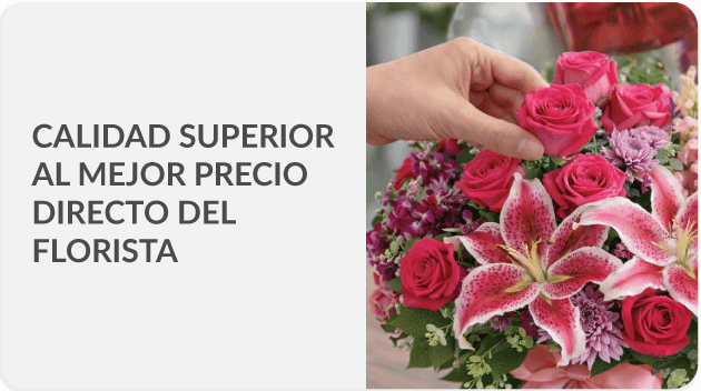 Envía a todo España